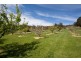 573 Wattle Grove Road, Wattle Grove TAS 7109