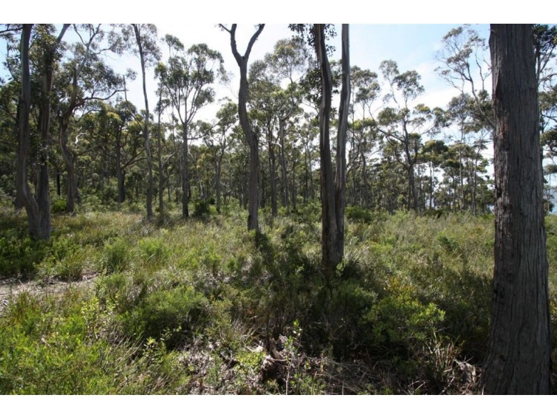 5136 Channel Highway, Gordon TAS 7150