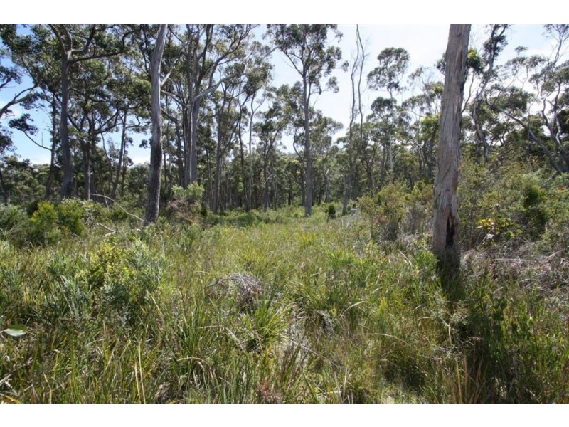 5136 Channel Highway, Gordon TAS 7150