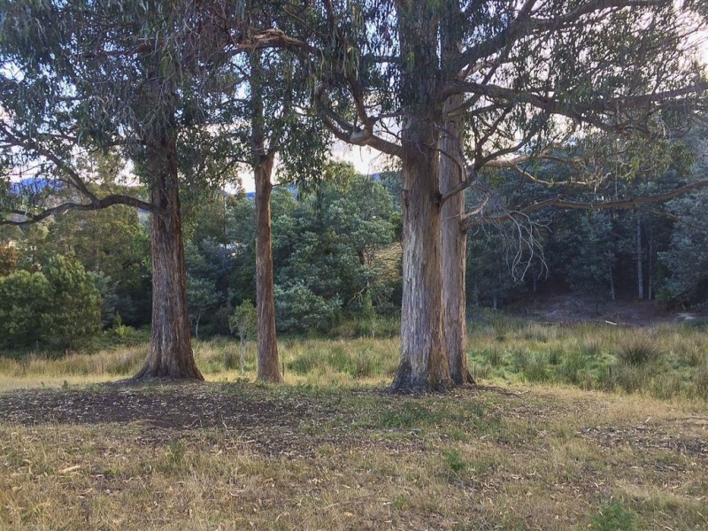 Lot 1 Hankin Robertson Road, Geeveston TAS 7116