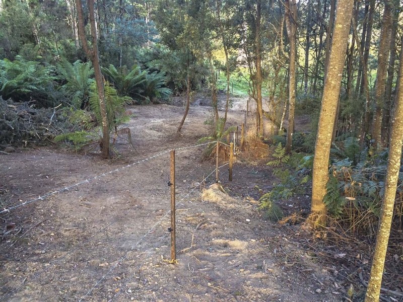 Lot 1 Hankin Robertson Road, Geeveston TAS 7116