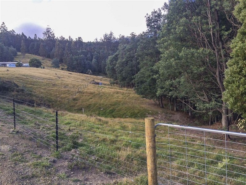 Lot 1 Hankin Robertson Road, Geeveston TAS 7116