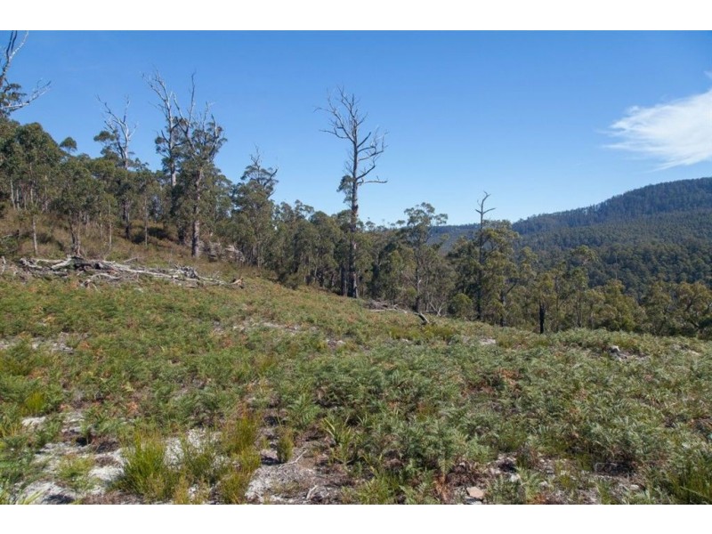 5857 Huon Highway, Surges Bay TAS 7116