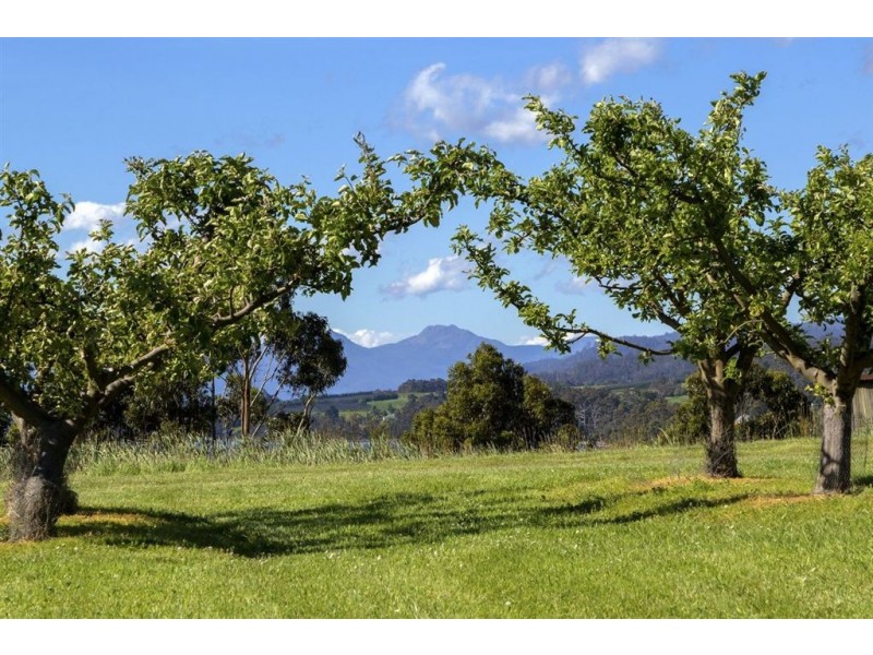 939 Cygnet Coast Road, Wattle Grove TAS 7109