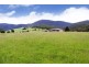 445 She Oak Road, Judbury TAS 7109