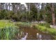 445 She Oak Road, Judbury TAS 7109