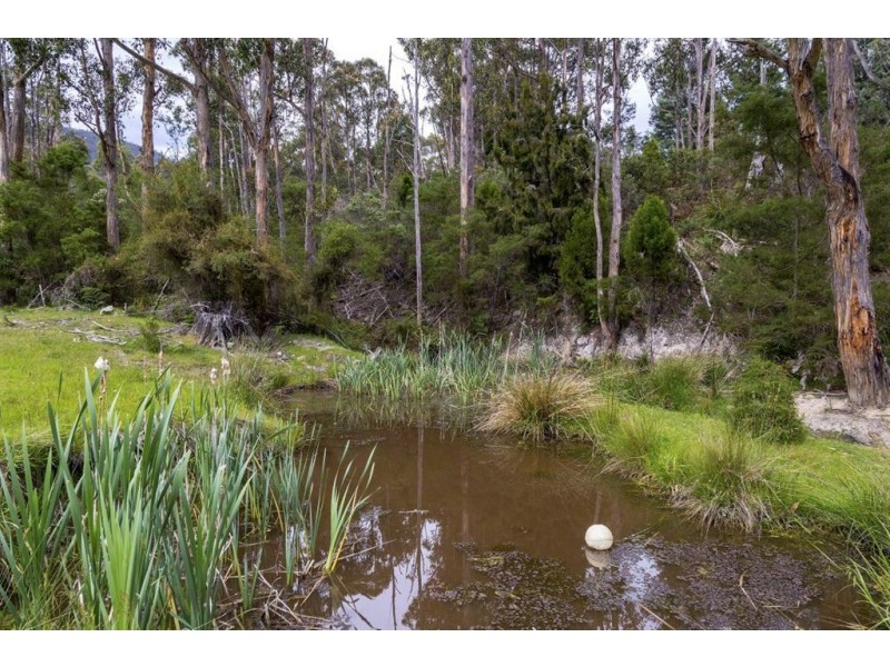 445 She Oak Road, Judbury TAS 7109