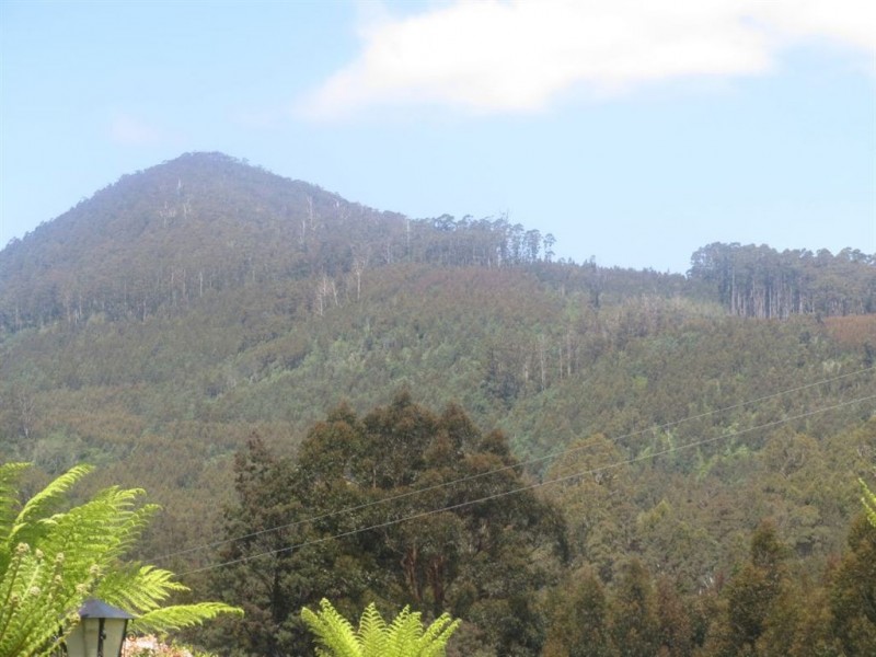 150 Hermons Road, Geeveston TAS 7116