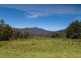 - Halls Track Road, Pelverata TAS 7150