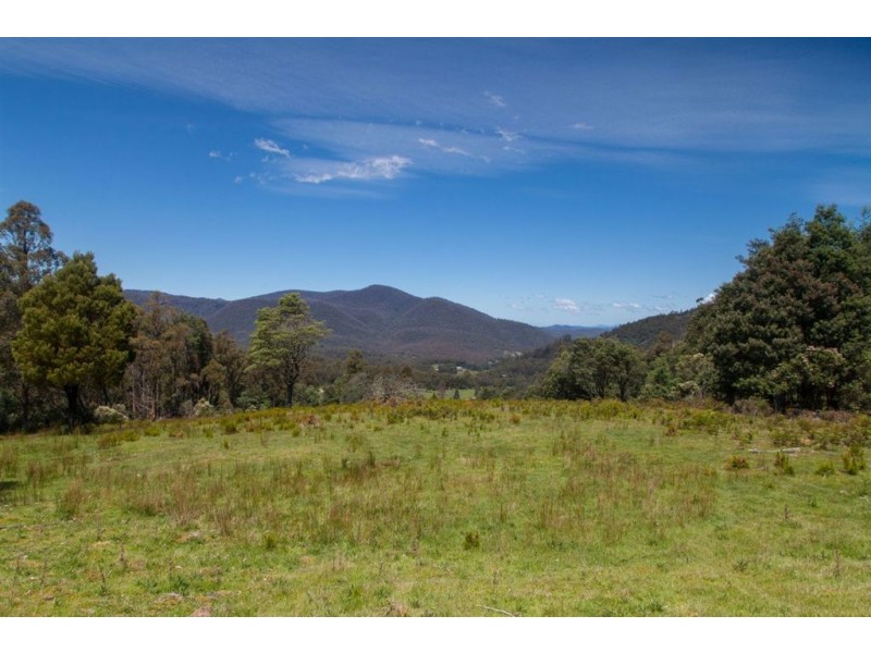 - Halls Track Road, Pelverata TAS 7150