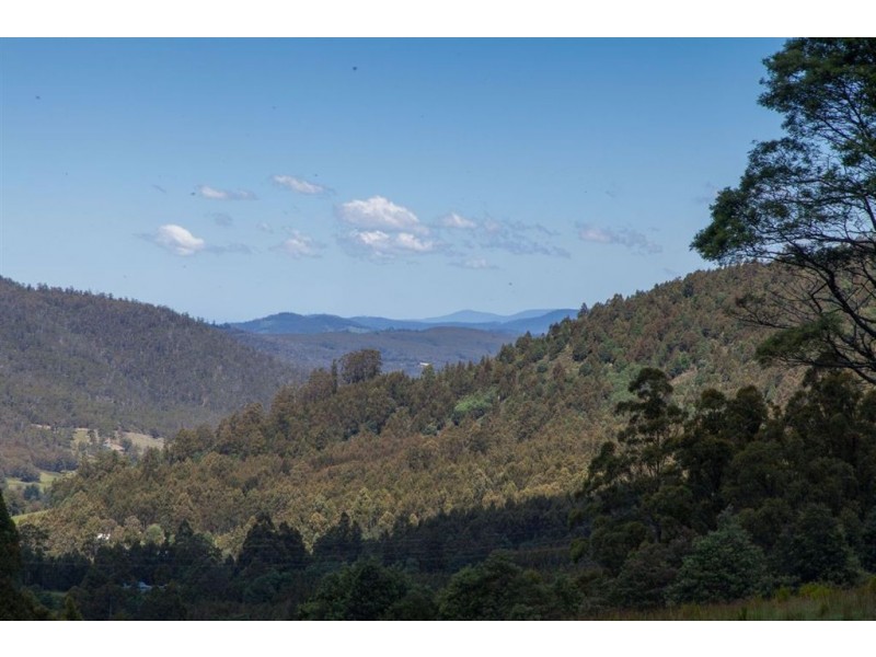 - Halls Track Road, Pelverata TAS 7150