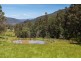 - Halls Track Road, Pelverata TAS 7150