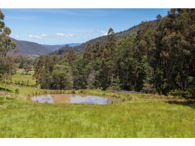 - Halls Track Road, Pelverata TAS 7150