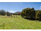 - Halls Track Road, Pelverata TAS 7150
