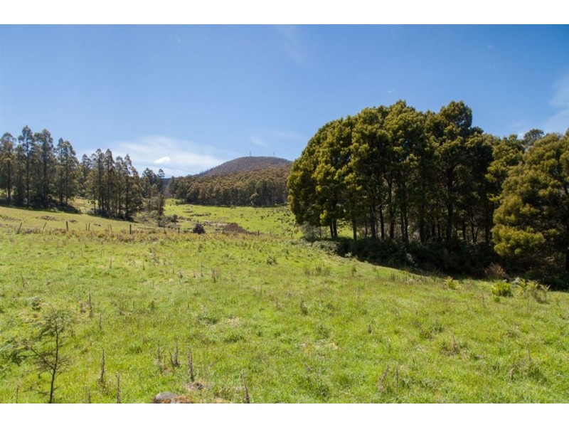 - Halls Track Road, Pelverata TAS 7150