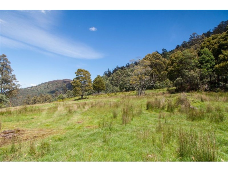 - Halls Track Road, Pelverata TAS 7150