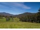 - Halls Track Road, Pelverata TAS 7150