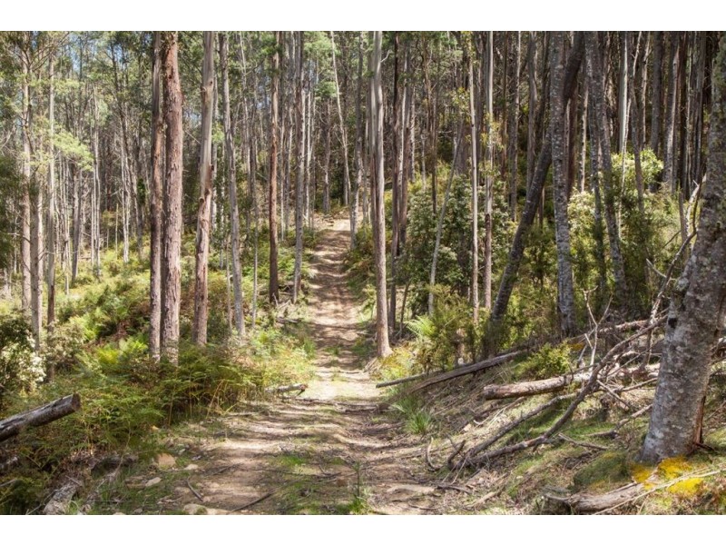 - Halls Track Road, Pelverata TAS 7150