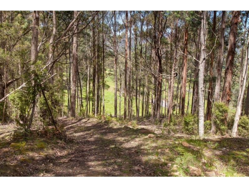 - Halls Track Road, Pelverata TAS 7150