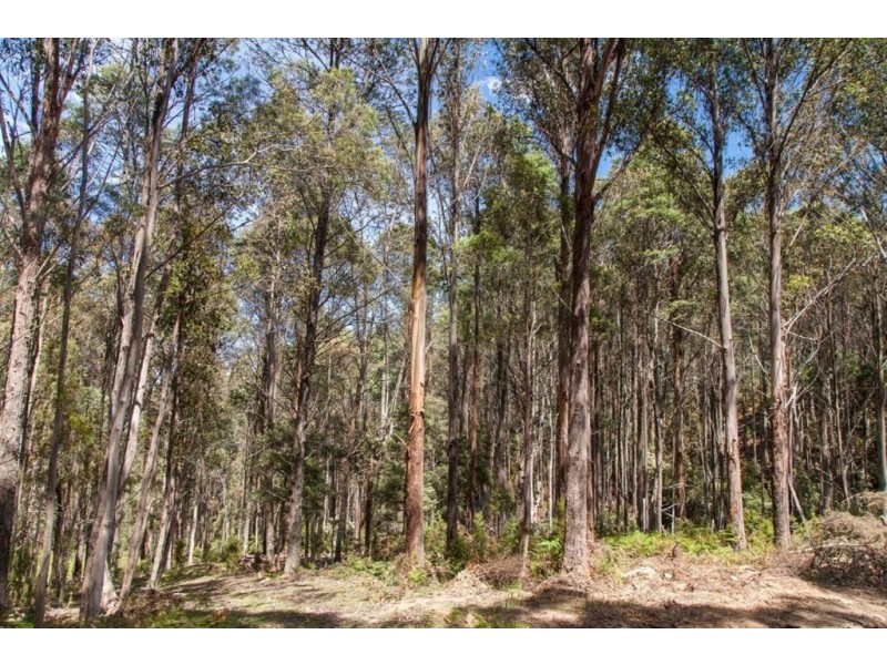 - Halls Track Road, Pelverata TAS 7150