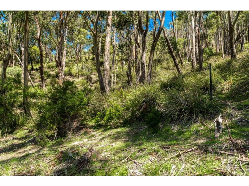 - Huon Highway, Castle Forbes Bay TAS 7116