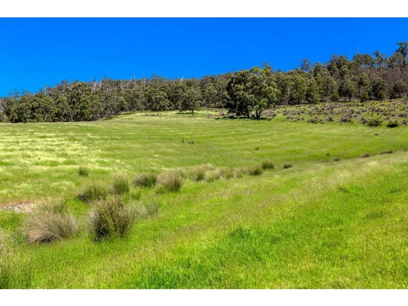 - Huon Highway, Castle Forbes Bay TAS 7116