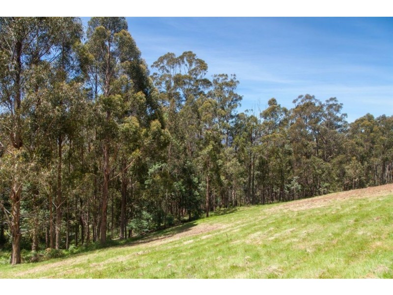 Lot 2 Maxfields Road, Franklin TAS 7113