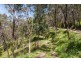Lot 2 Maxfields Road, Franklin TAS 7113