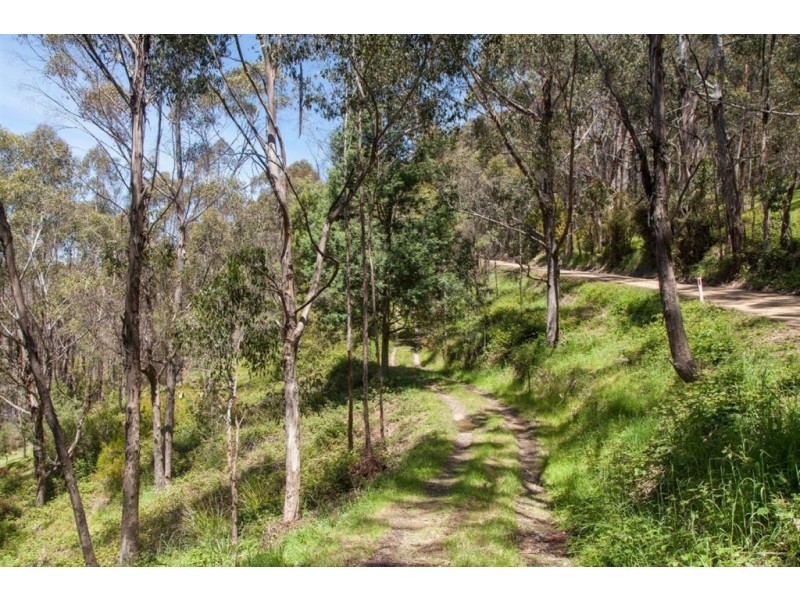 Lot 2 Maxfields Road, Franklin TAS 7113