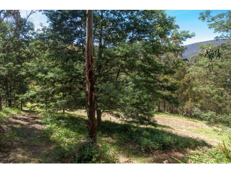 Lot 2 Maxfields Road, Franklin TAS 7113