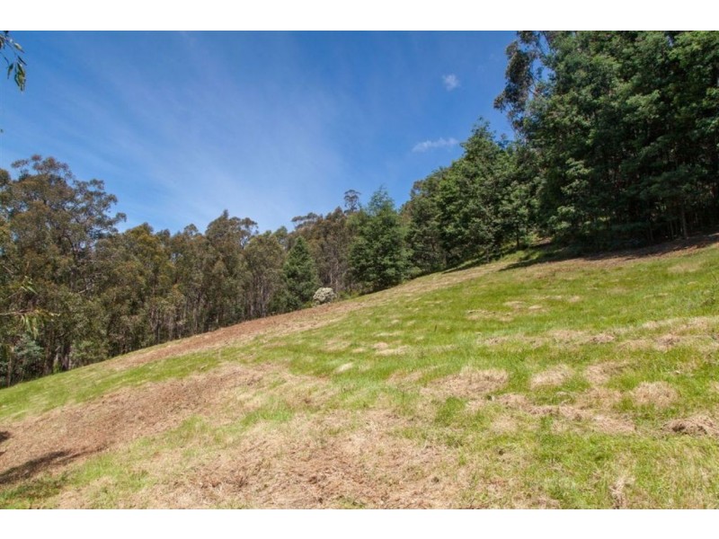 Lot 2 Maxfields Road, Franklin TAS 7113