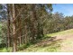Lot 2 Maxfields Road, Franklin TAS 7113