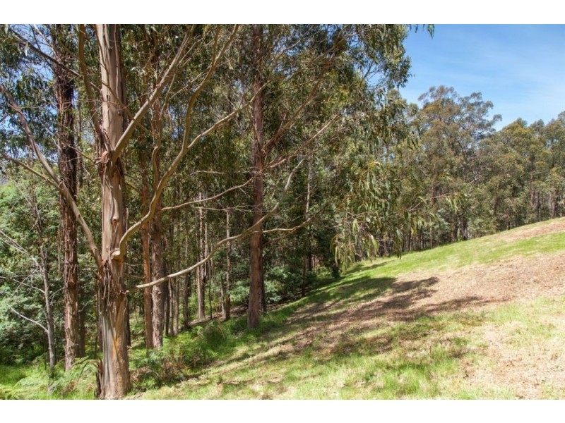 Lot 2 Maxfields Road, Franklin TAS 7113