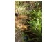 - Glenbervie Road, Dover TAS 7117