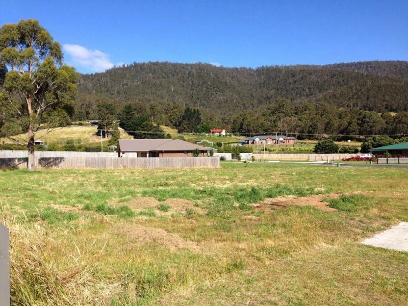 5 Ellison Street, Huonville TAS 7109