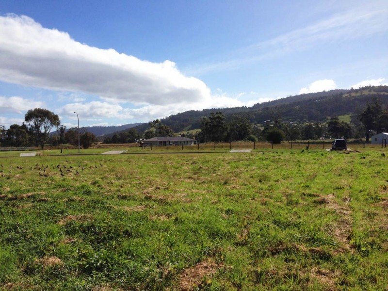 5 Ellison Street, Huonville TAS 7109