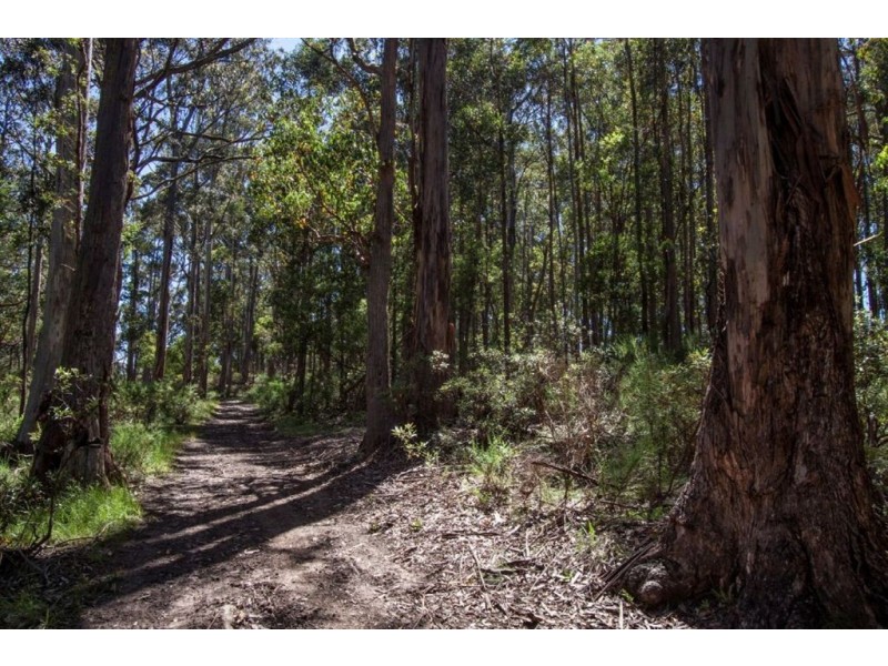 1534 Huon Highway, Lower Longley TAS 7109