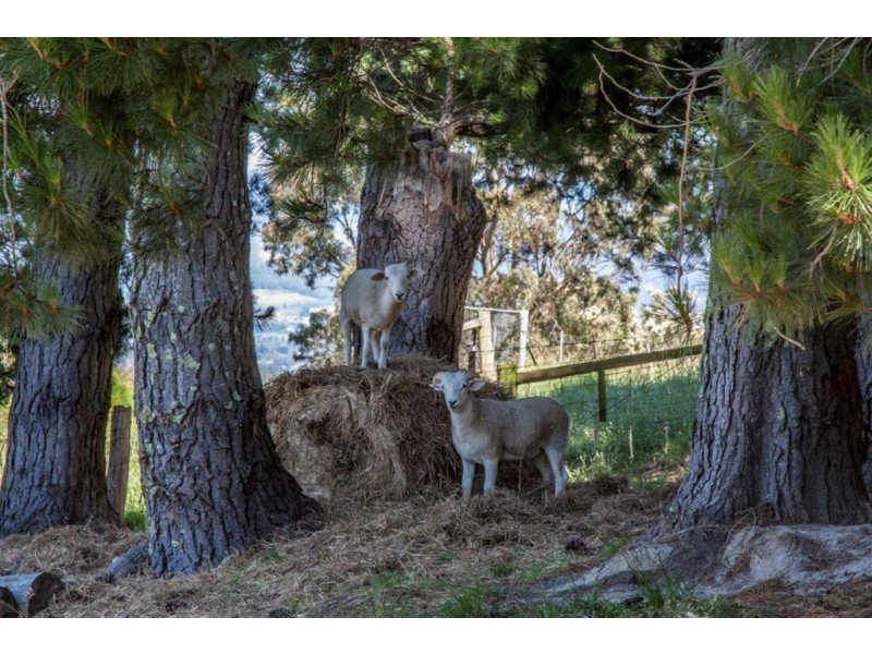 1534 Huon Highway, Lower Longley TAS 7109