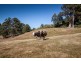 Lot 1 Cross Road, Lucaston TAS 7109