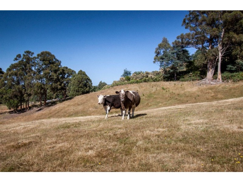 Lot 1 Cross Road, Lucaston TAS 7109