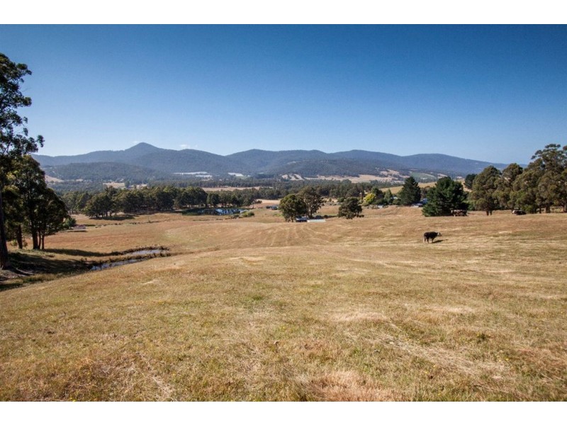 Lot 1 Cross Road, Lucaston TAS 7109