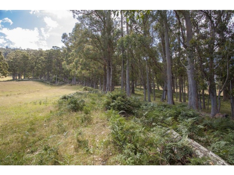 Lot 1 Cross Road, Lucaston TAS 7109
