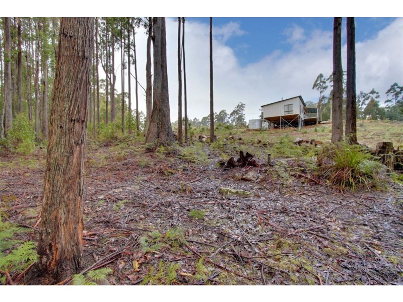 25 Ballantyne Heights, Franklin TAS 7113