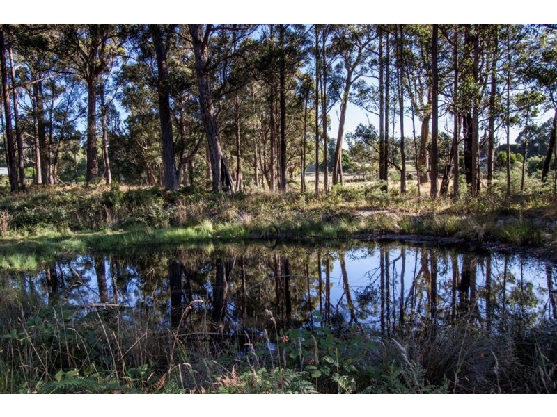 Lot 1 Cygnet Coast Road, Cradoc TAS 7109
