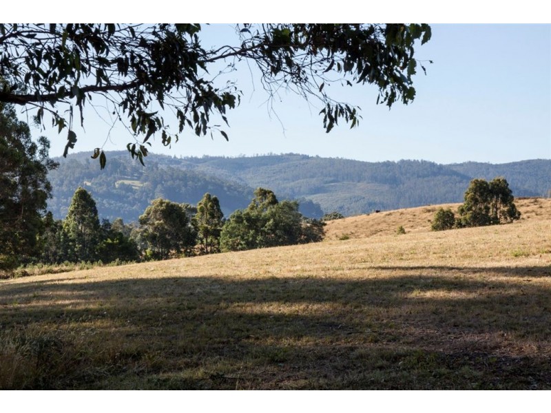 Lot 1 Cygnet Coast Road, Cradoc TAS 7109