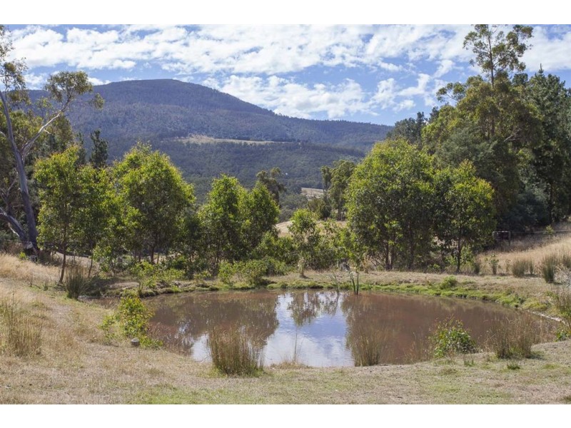403 She Oak Road, Judbury TAS 7109