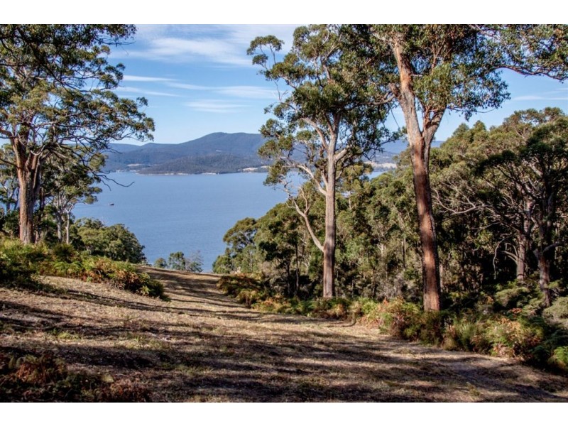 67 Klasen Road, Police Point TAS 7116