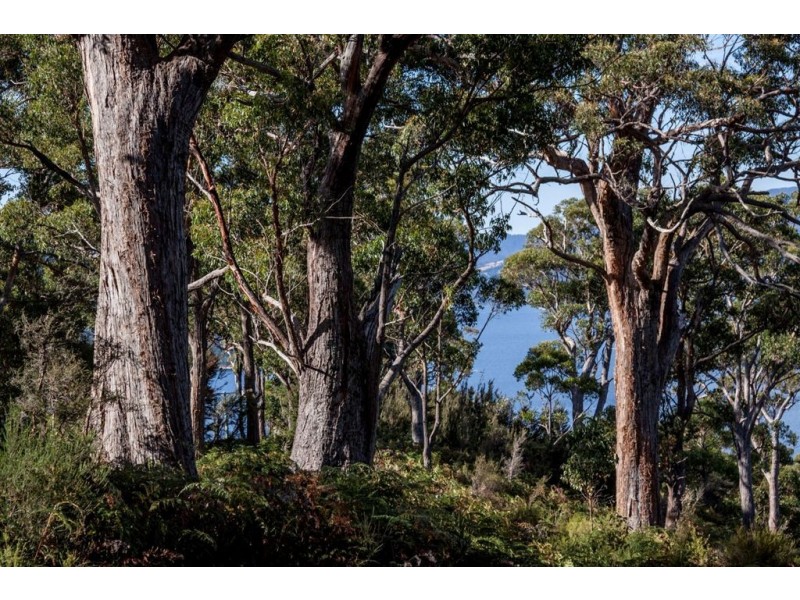 67 Klasen Road, Police Point TAS 7116