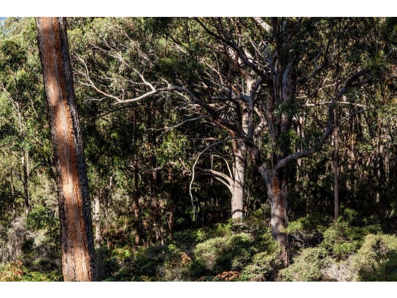 67 Klasen Road, Police Point TAS 7116