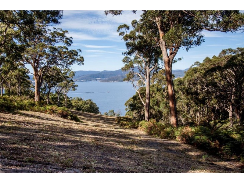 67 Klasen Road, Police Point TAS 7116